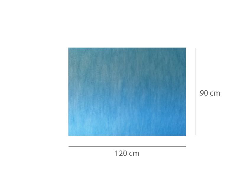 ALFOMBRA ABSORBENTE IMPERMEABLE PRECORTADA 90 x 120 cm
