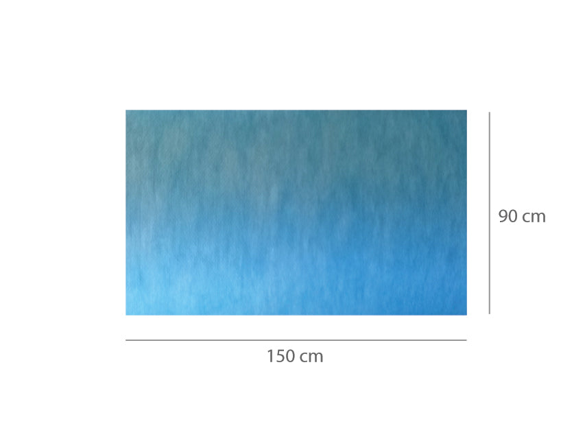 ALFOMBRA ABSORBENTE IMPERMEABLE PRECORTADA 90 x 150 cm