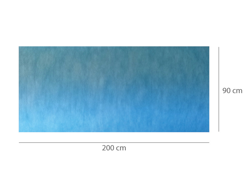 ALFOMBRA ABSORBENTE IMPERMEABLE PRECORTADA 90 x 200 cm