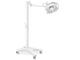LAMPADA SCIALITICA PENTALED 30E - su piantana con batteria