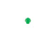 TAPPINI SANIBEL ADI A FUNGO 13 mm - verde