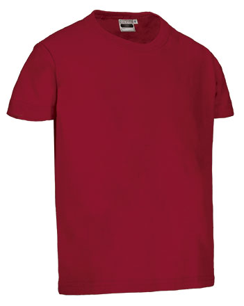 T-shirt manica corta e girocollo per bambini Dino